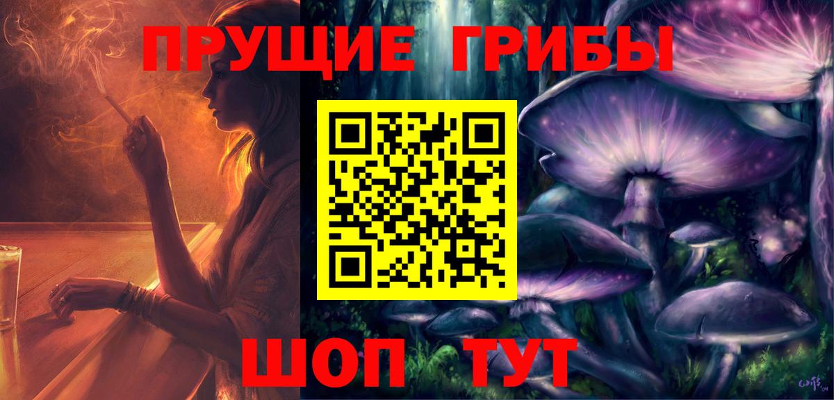 Псилоцибиновые грибы Psilocybine cubensis Ханты-Мансийск